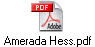 Amerada Hess.pdf