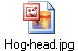 Hog-head.jpg