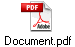 Document.pdf